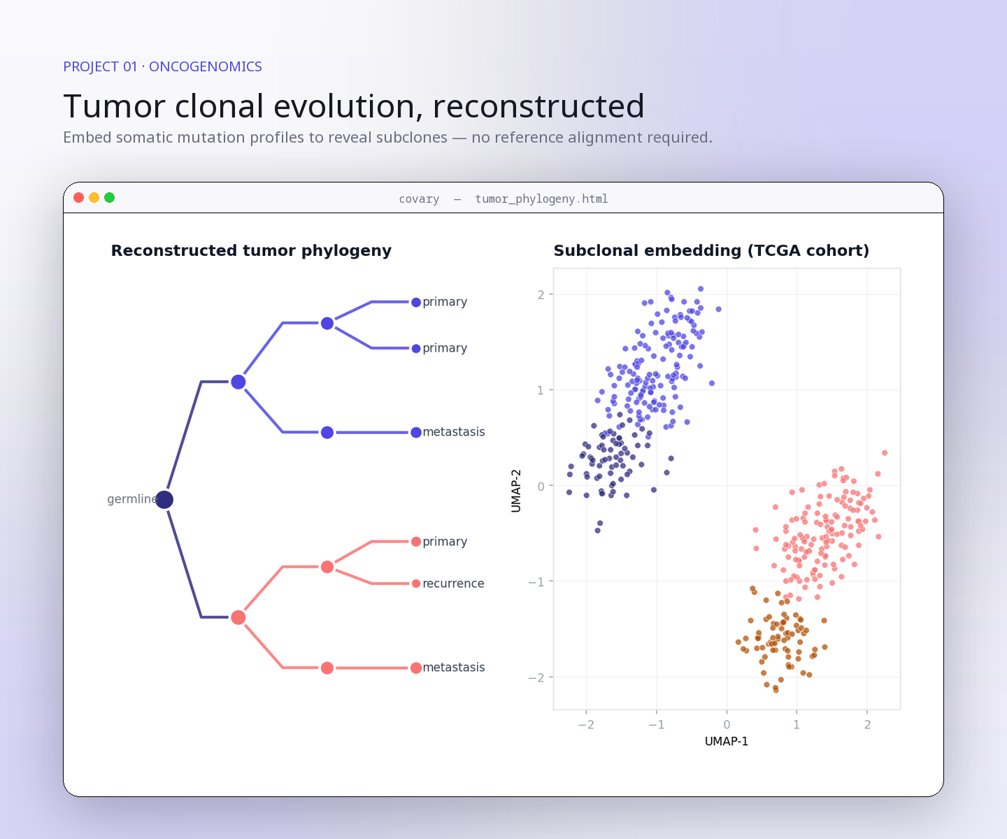 Covary beyond phylogenetics — oncogenomics, epidemiology, forensics, precision medicine