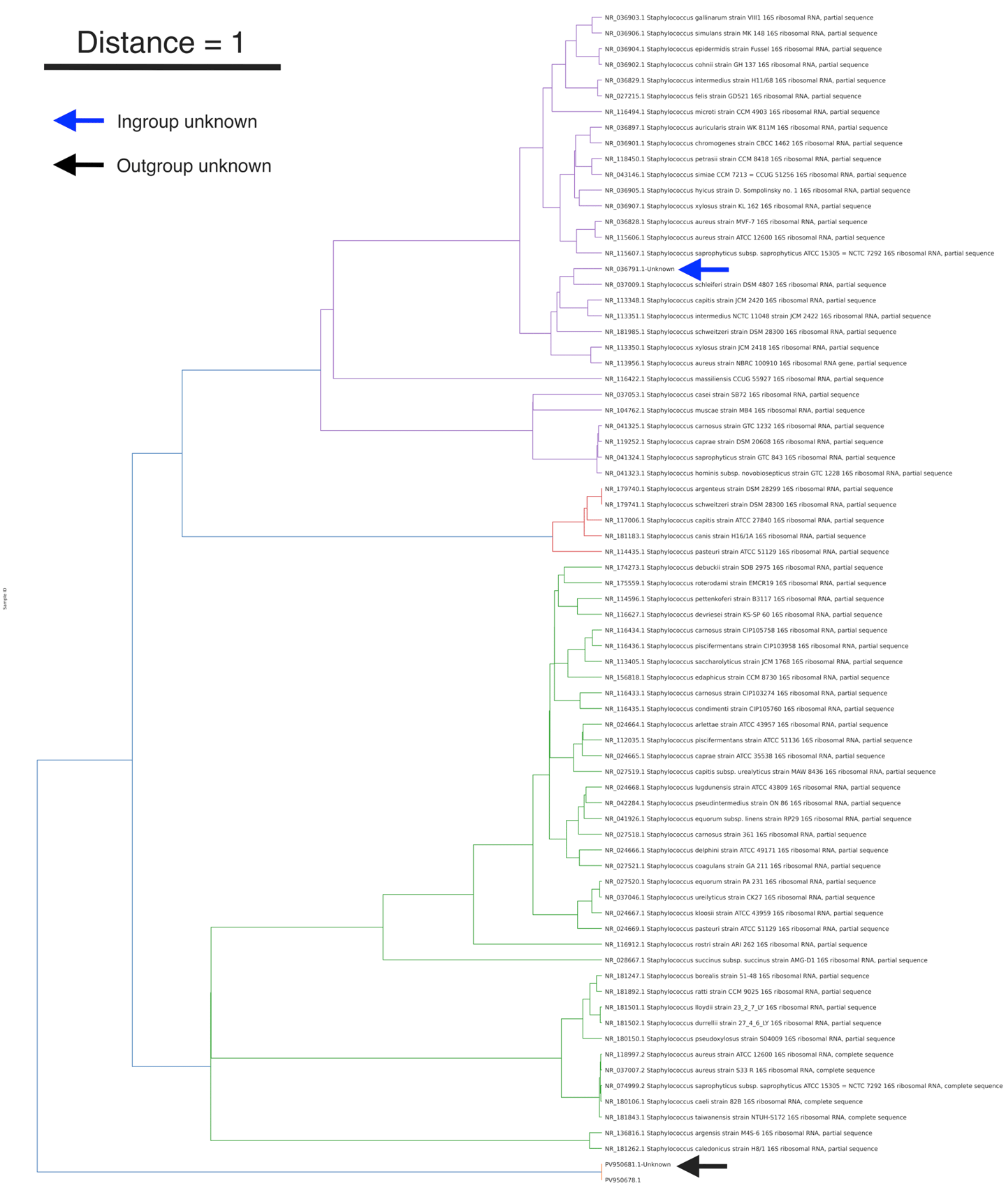 Covary phylogenetic analysis pipeline — FASTA encoding to tree output