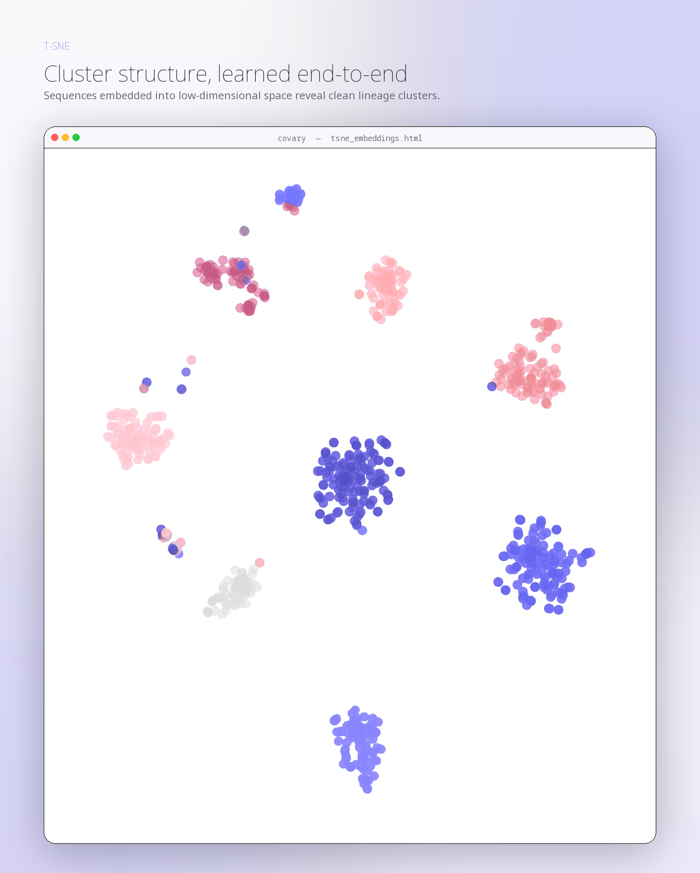 Covary t-SNE sequence embedding scatter plot — clean lineage clusters