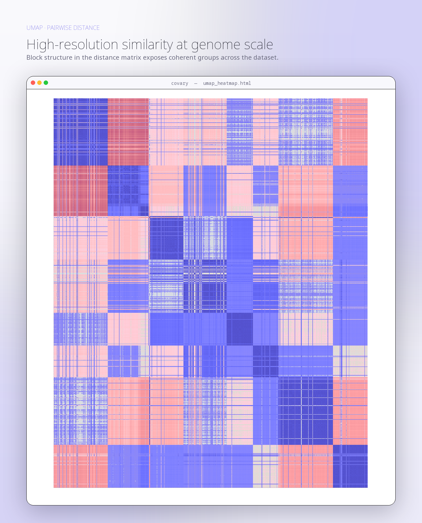 Covary UMAP distance heatmap — block structure reveals coherent sample groups
