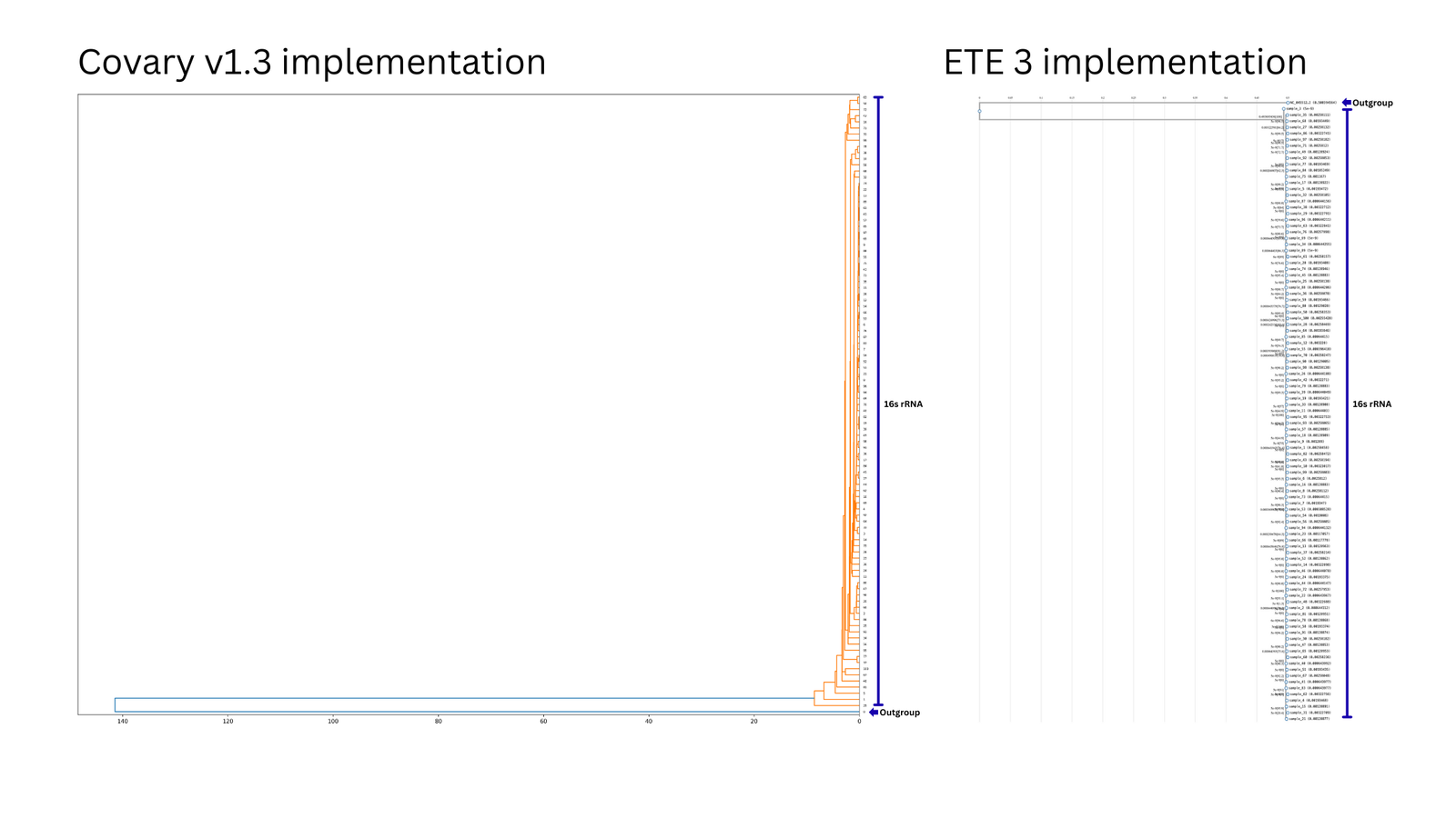 Covary v1.3 vs ETE3 — Staphylococcus taiwanensis 16S rRNA classification