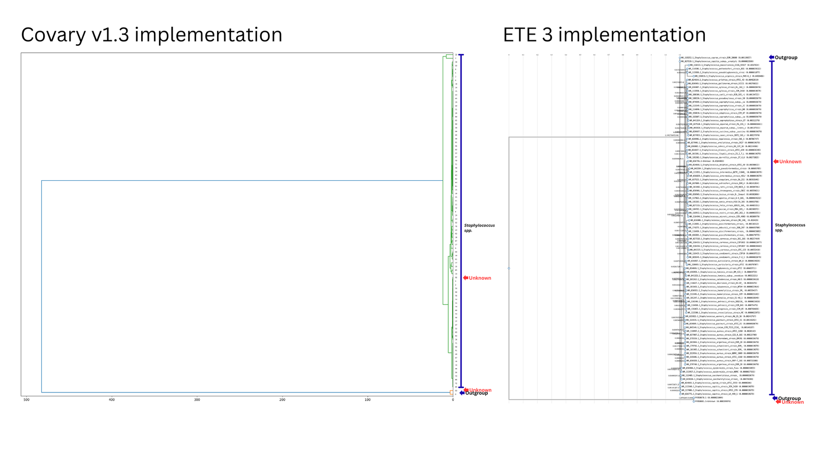 Covary v1.3 vs ETE3/IQ-TREE — identification of unknown Staphylococcus and SARS-CoV-2