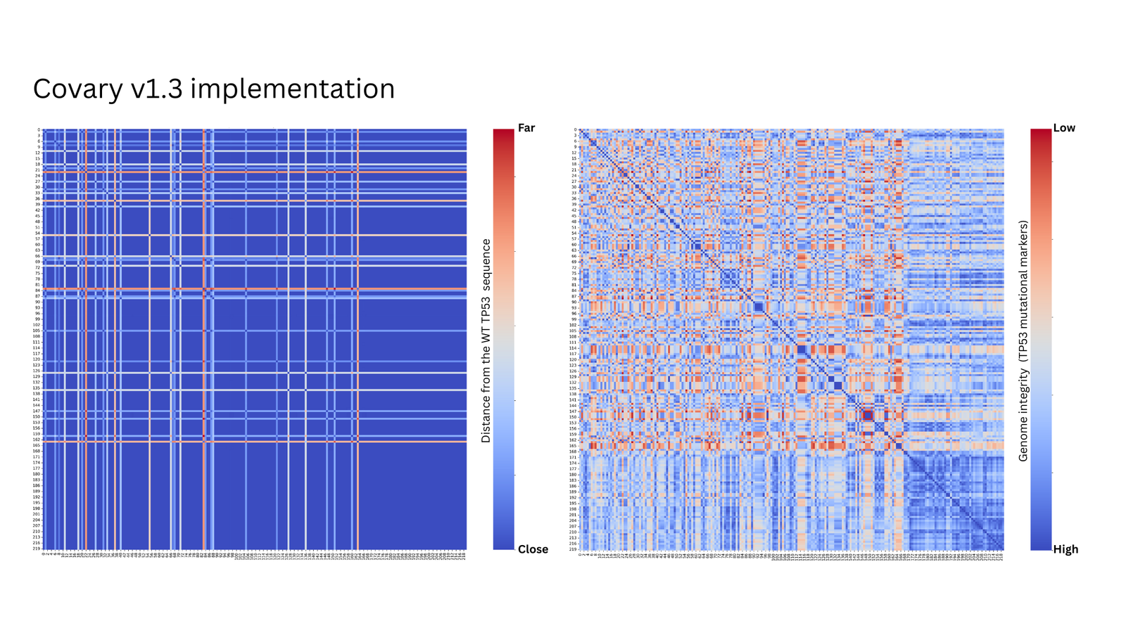 Covary v1.3 prediction — TP53 mutational distance heatmap with genome integrity inference