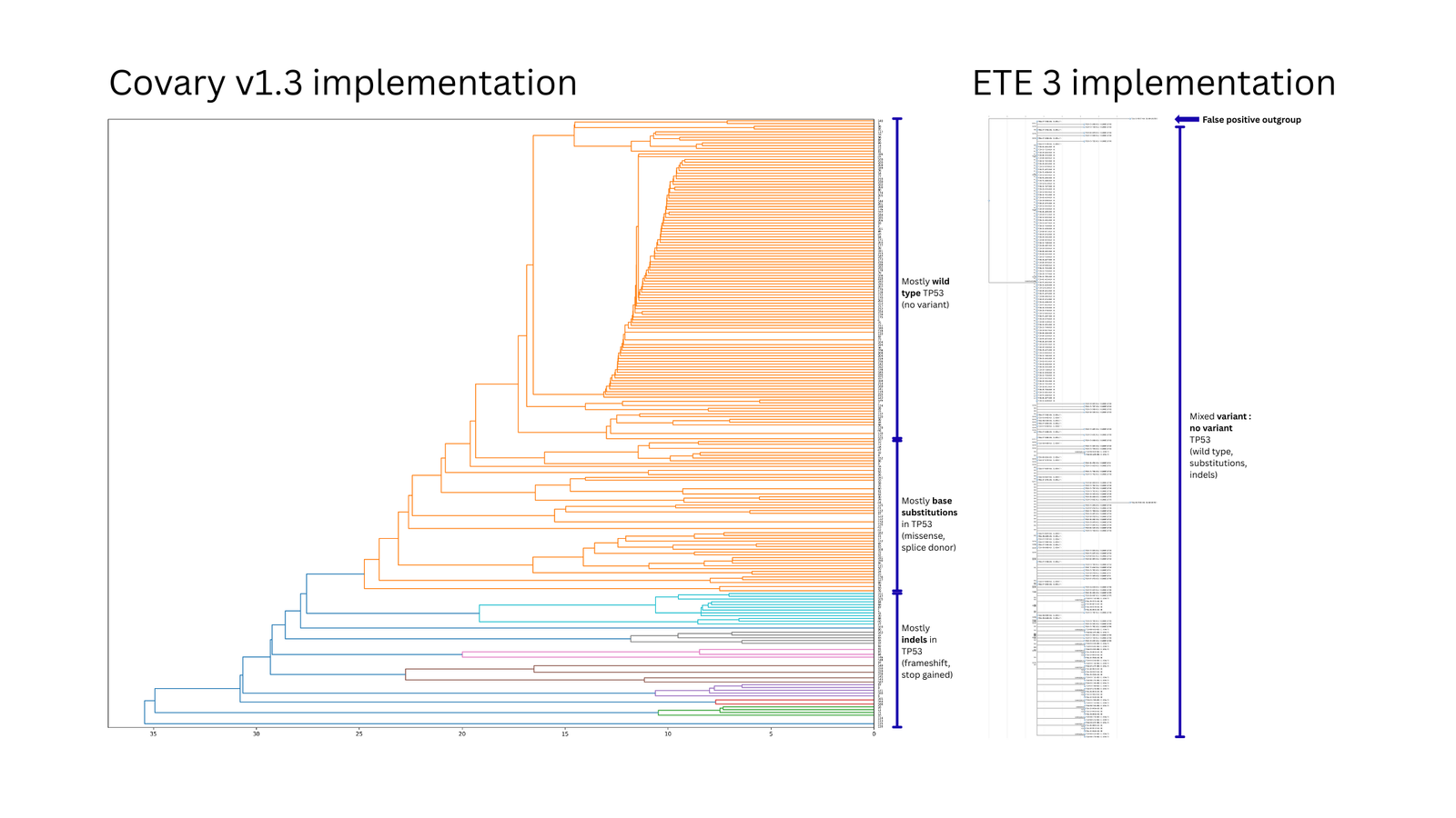 Covary v1.3 vs ETE3 — TP53 mutational clustering in TCGA head and neck cancer cohort