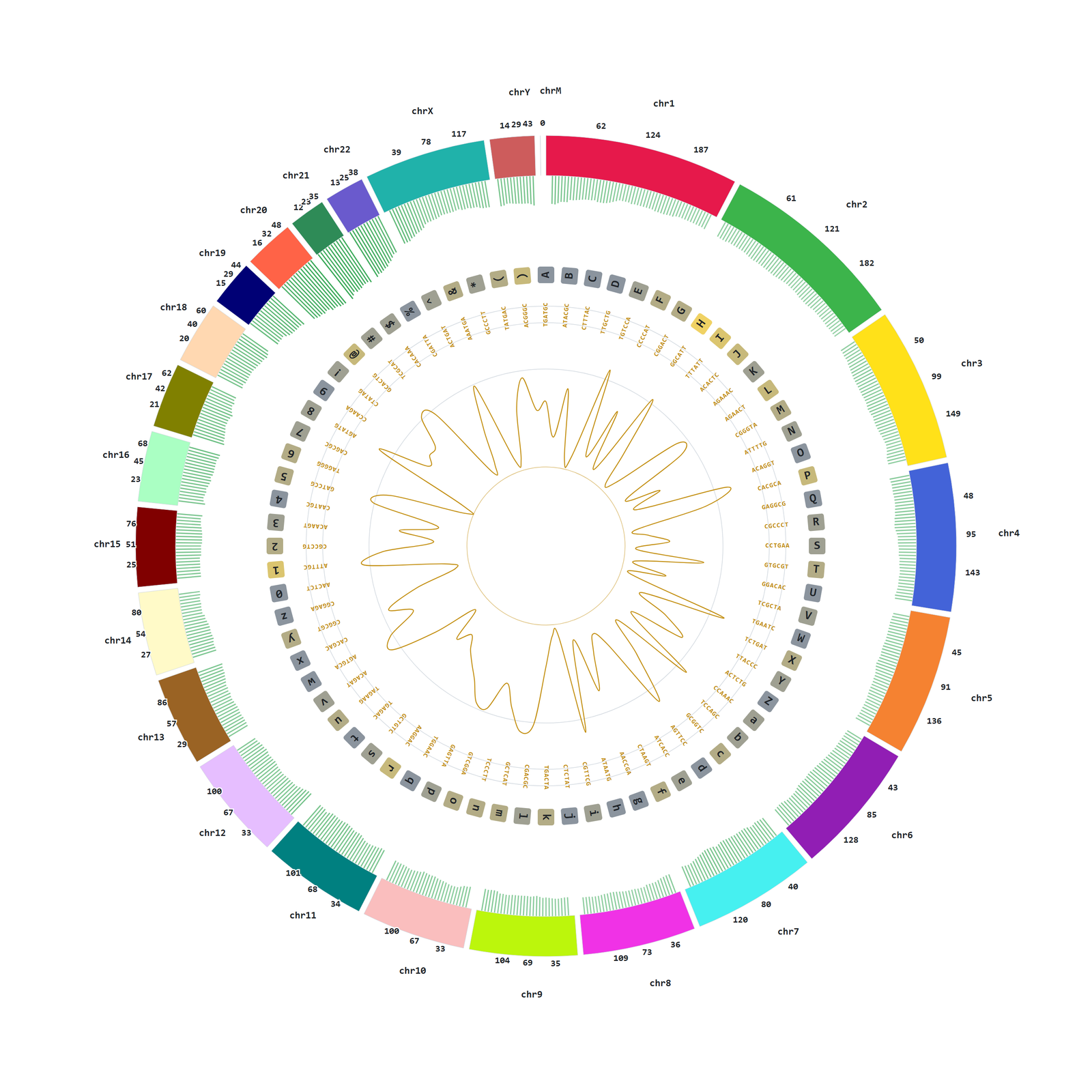 Circos plot of whole-genome embedded cipher framework